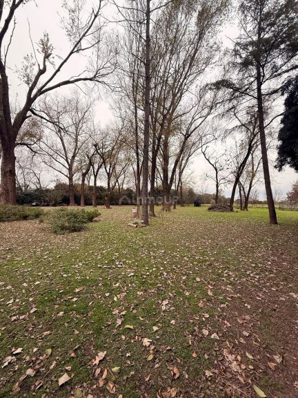Campo en Venta en Rosario, Santa Fe - USD 120.000 | Inmoup - 47
