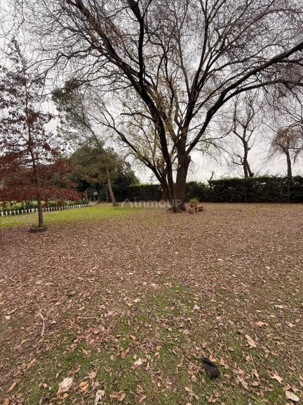 Campo en Venta en Rosario, Santa Fe - USD 120.000 | Inmoup - 38