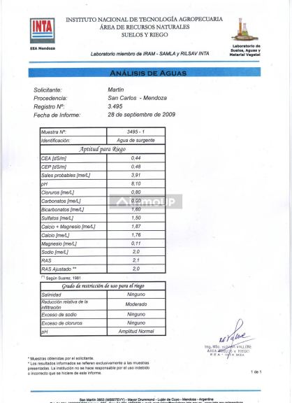 Campo en Venta en San Carlos, Mendoza