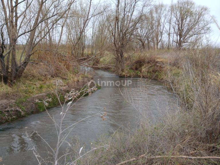 Campo en Venta en San Carlos, Mendoza