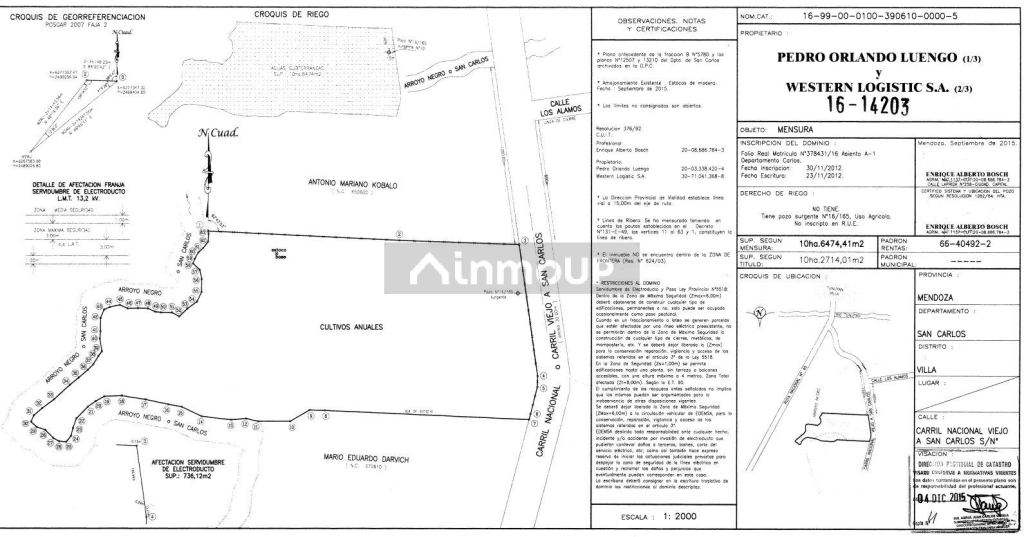 Campo en Venta en San Carlos, Mendoza