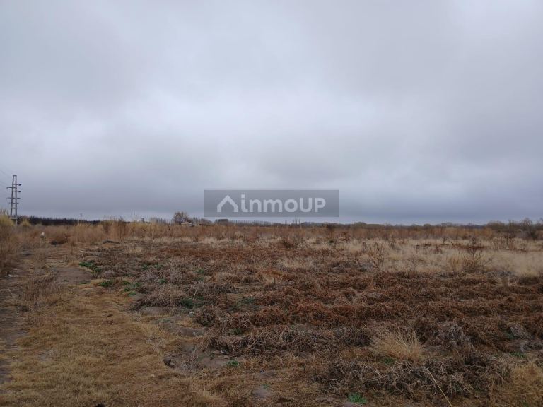 Campo en Venta en San Carlos, Mendoza