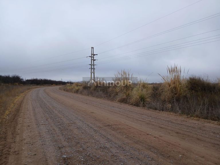 Campo en Venta en San Carlos, Mendoza