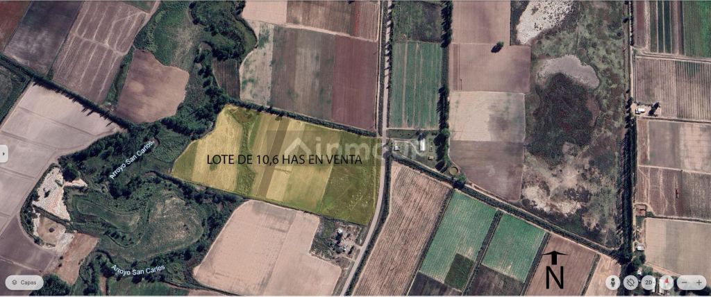 Campo en Venta en San Carlos, Mendoza
