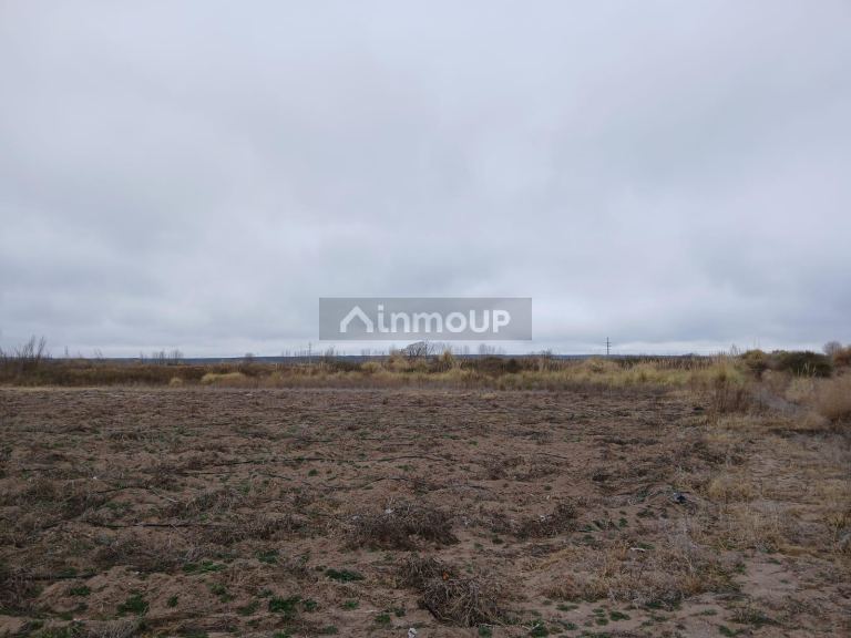 Campo en Venta en San Carlos, Mendoza