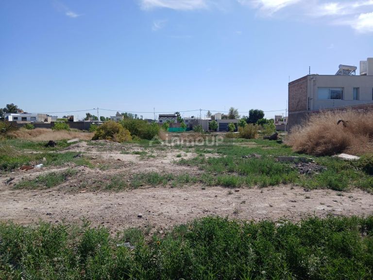 Lote en Venta en San Martin, Mendoza
