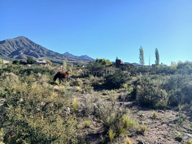 Lote en Venta en Lujan de Cuyo, Mendoza