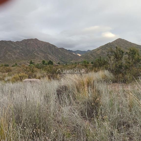 Lote en Venta en Lujan de Cuyo, Mendoza
