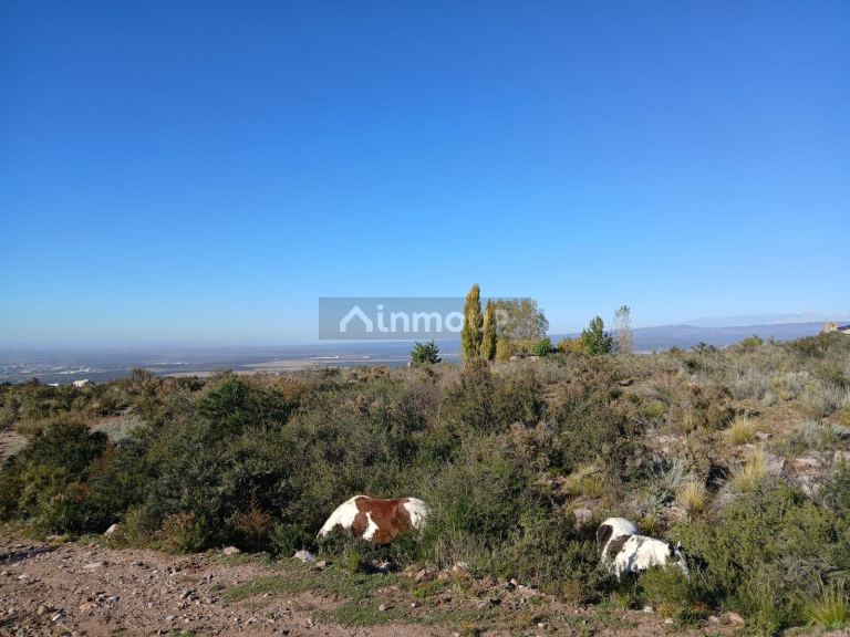 Lote en Venta en Lujan de Cuyo, Mendoza