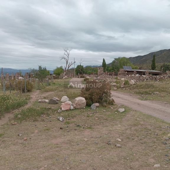 Lote en Venta en Lujan de Cuyo, Mendoza