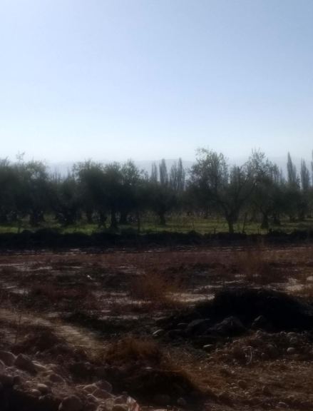Lote en Venta en Maipu, Mendoza