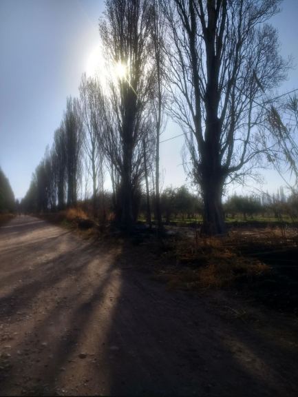 Lote en Venta en Maipu, Mendoza