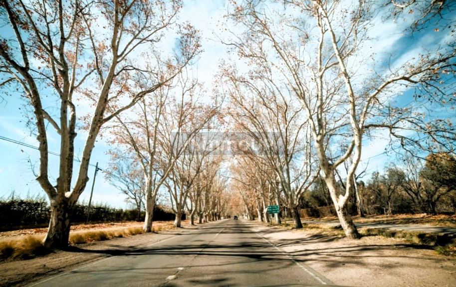 Lote en Venta en San Rafael, Mendoza