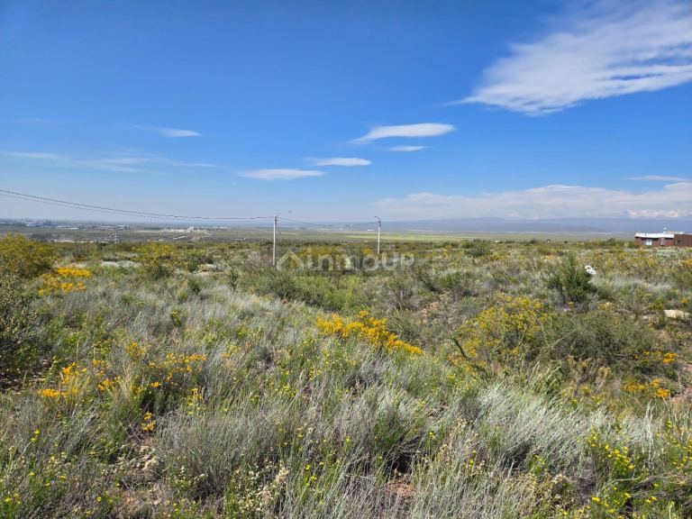 Lote en Venta en Lujan de Cuyo, Mendoza