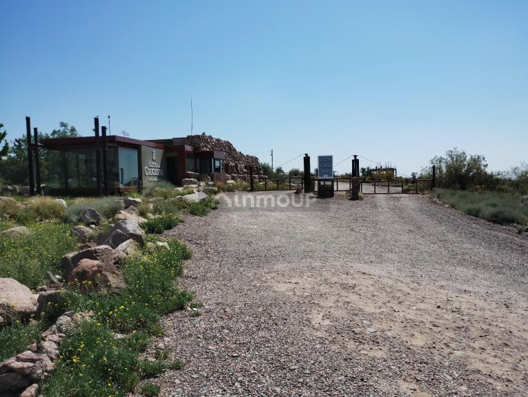 Lote en Venta en Lujan de Cuyo, Mendoza
