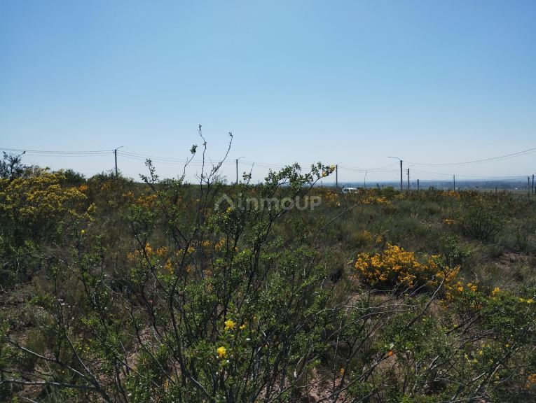 Lote en Venta en Lujan de Cuyo, Mendoza
