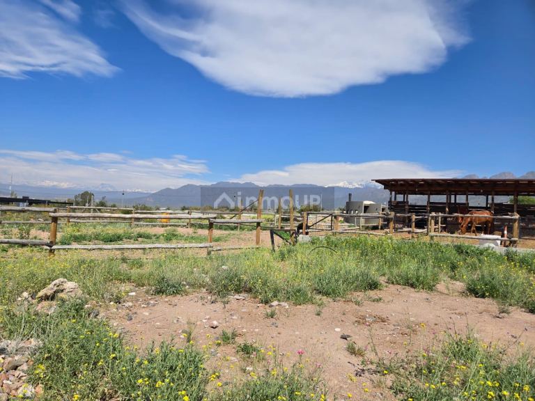 Lote en Venta en Lujan de Cuyo, Mendoza