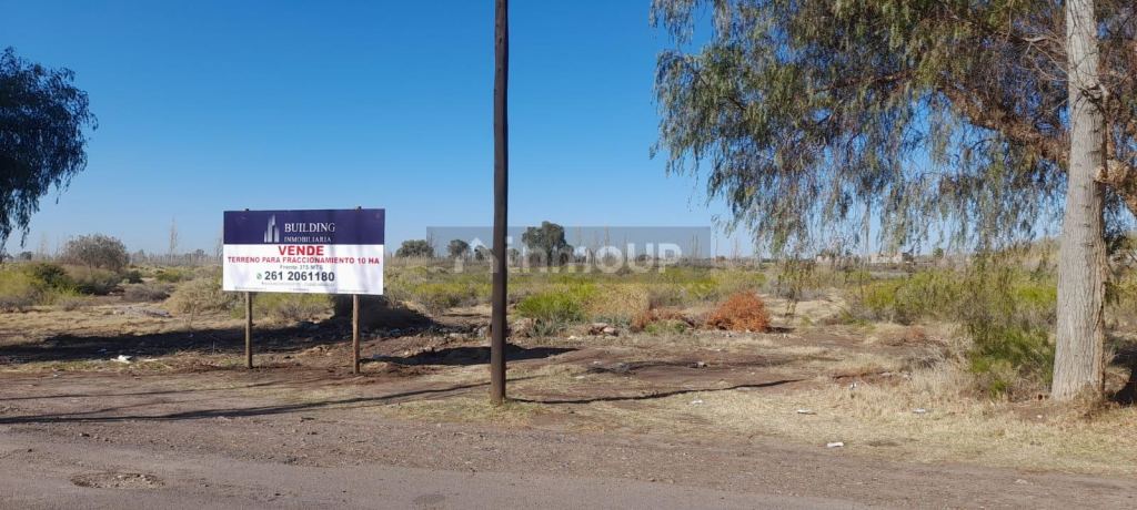 Finca en Venta en Junin, Mendoza