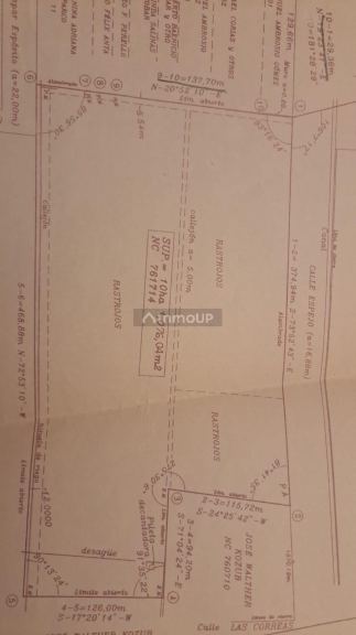 Finca en Venta en Junin, Mendoza