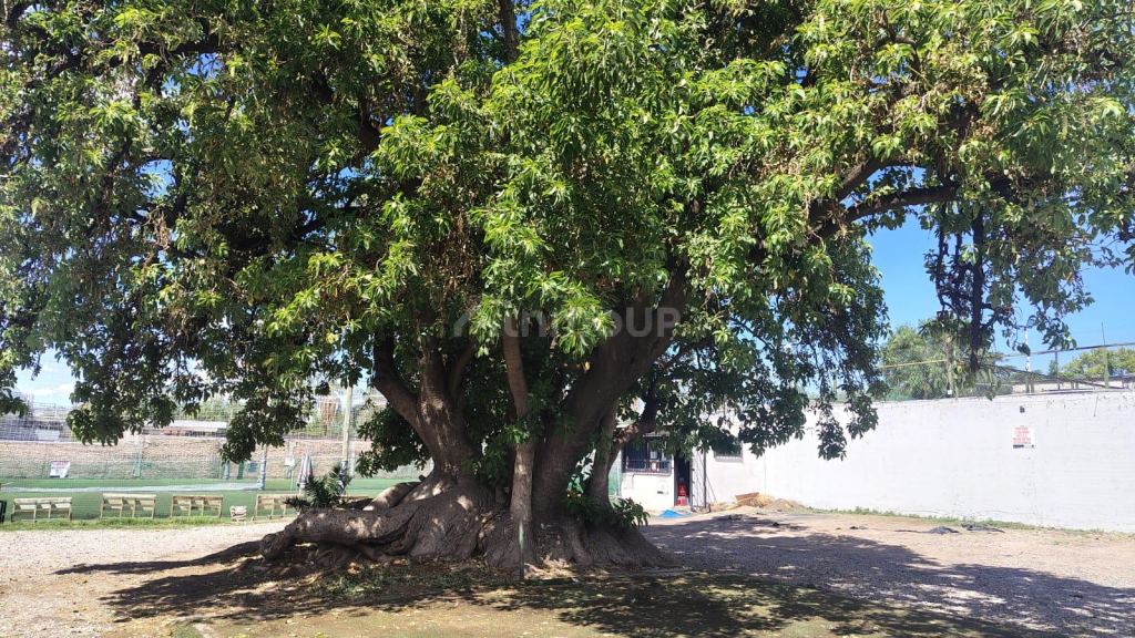 Lote en Venta en Godoy Cruz, Mendoza