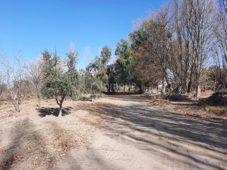 Finca en Venta en San Martin, Mendoza