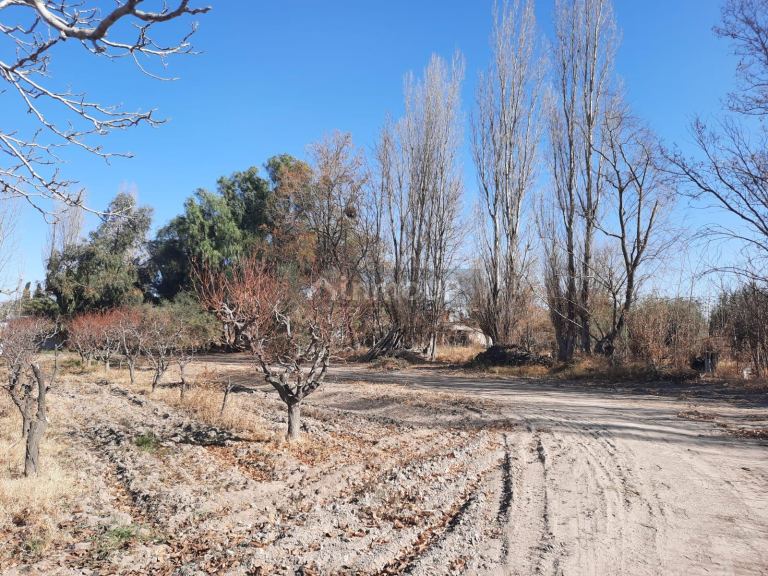 Finca en Venta en San Martin, Mendoza