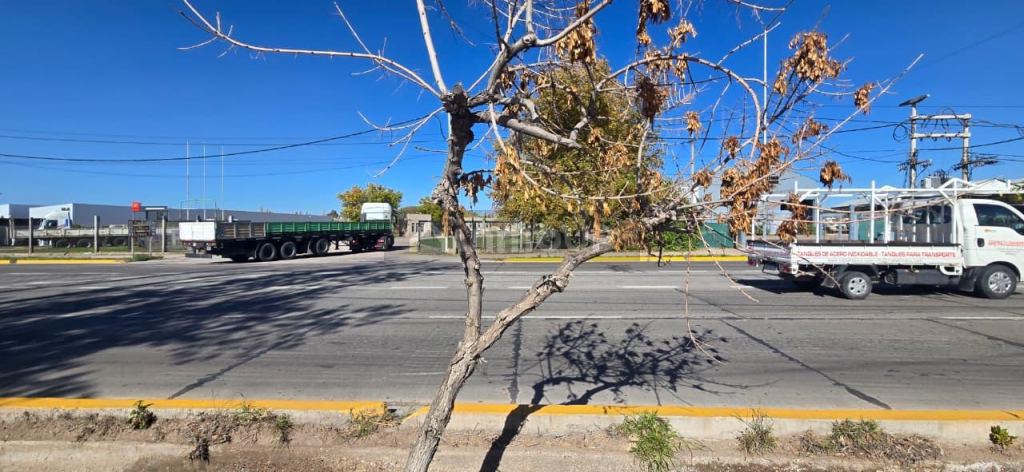 Lote en Venta en Maipu, Mendoza