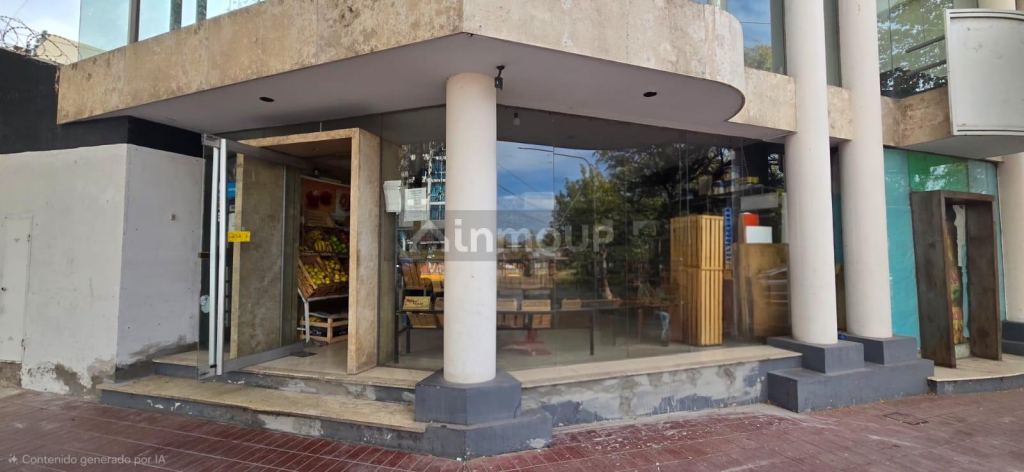 Local Comercial en Alquiler en Capital, Mendoza