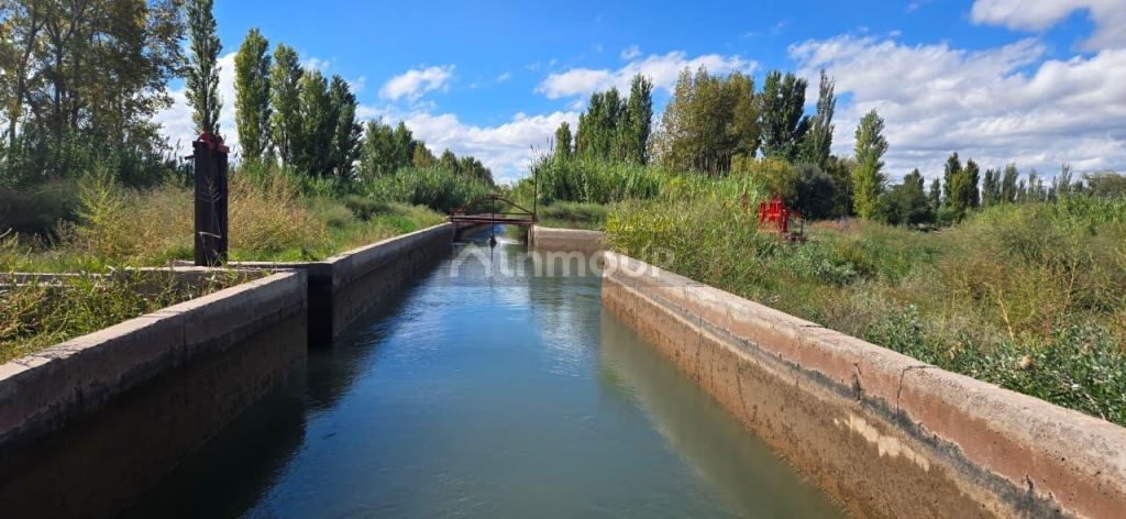 Finca en Venta en San Martin, Mendoza