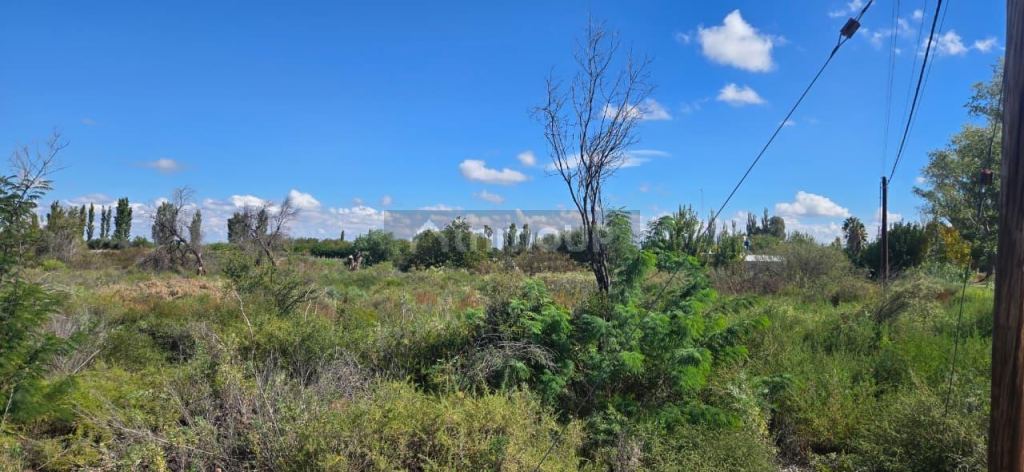 Finca en Venta en San Martin, Mendoza