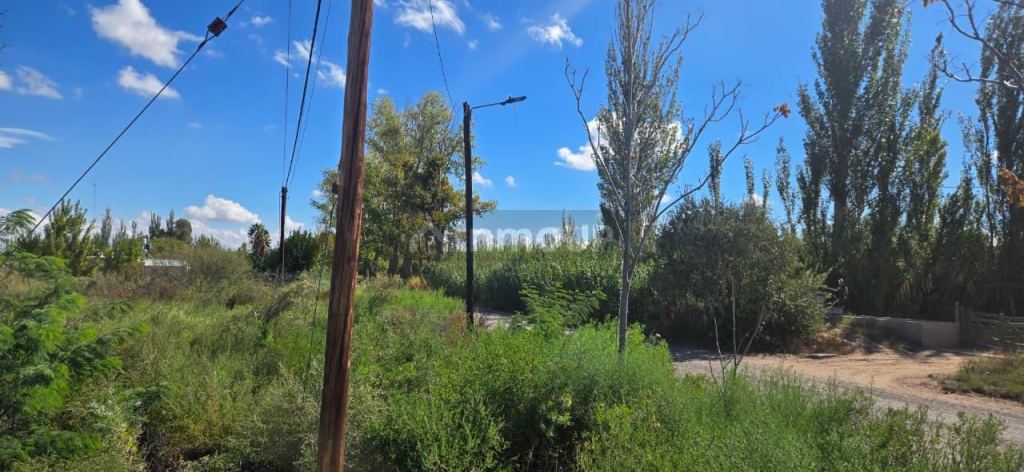 Finca en Venta en San Martin, Mendoza