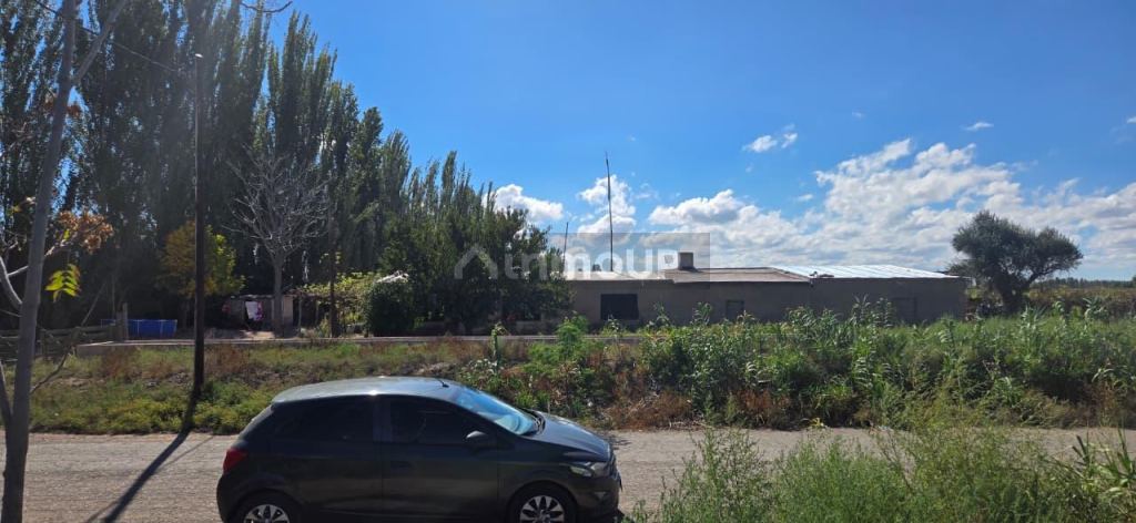 Finca en Venta en San Martin, Mendoza