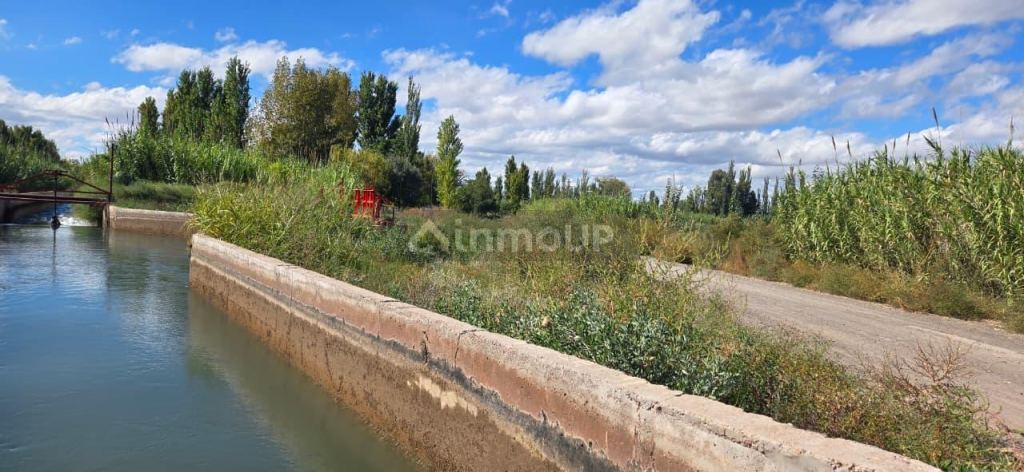 Finca en Venta en San Martin, Mendoza