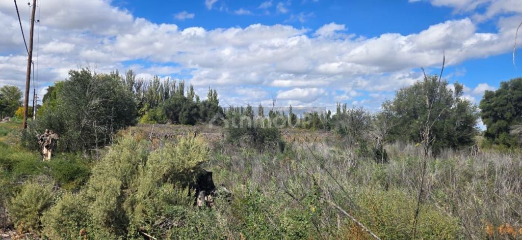 Finca en Venta en San Martin, Mendoza