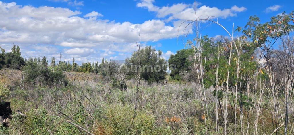 Finca en Venta en San Martin, Mendoza