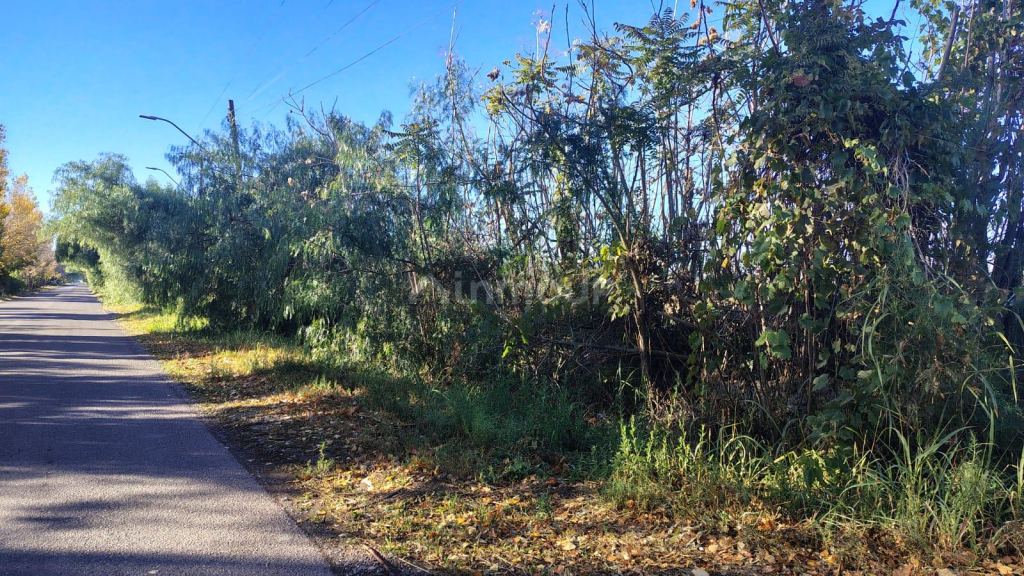 Lote en Venta en Maipu, Mendoza