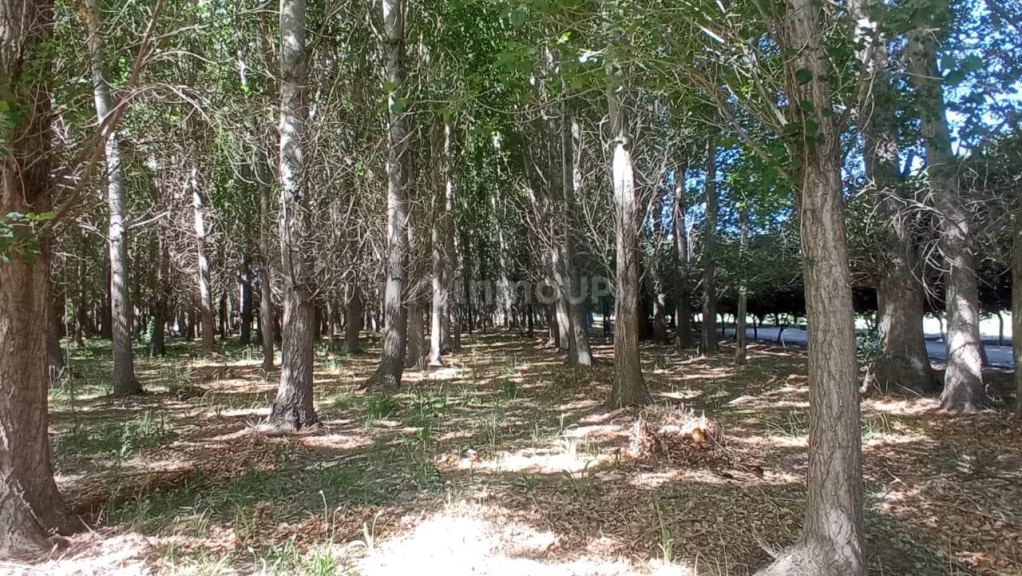 Lote en Venta en Las Heras, Mendoza
