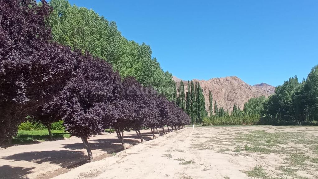 Lote en Venta en Las Heras, Mendoza