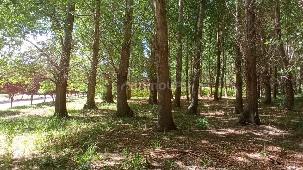 Lote en Venta en Las Heras, Mendoza