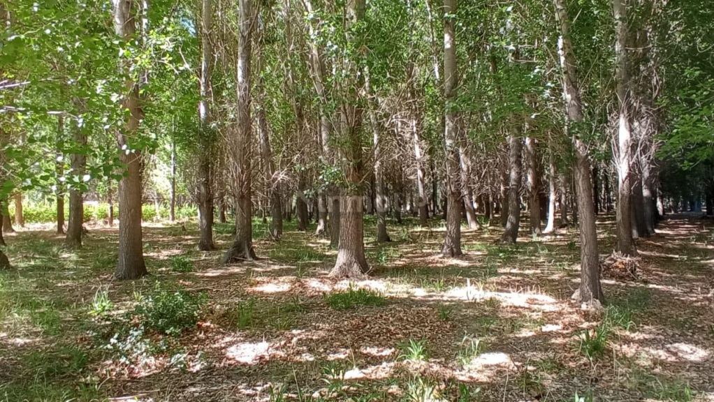 Lote en Venta en Las Heras, Mendoza