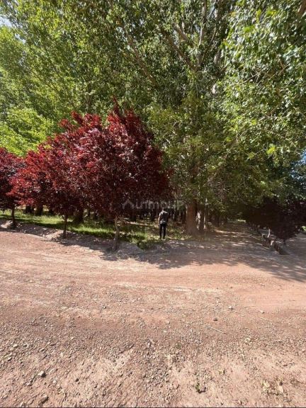 Lote en Venta en Las Heras, Mendoza