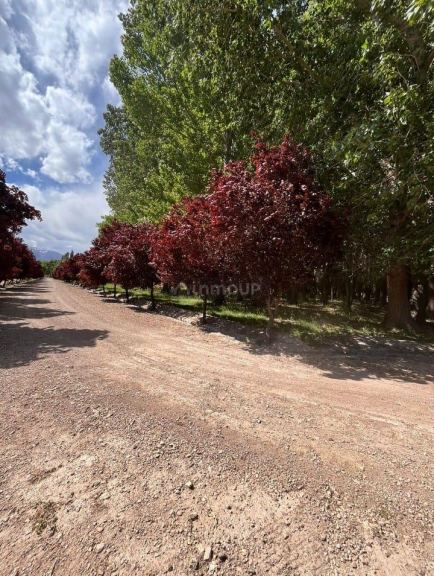 Lote en Venta en Las Heras, Mendoza