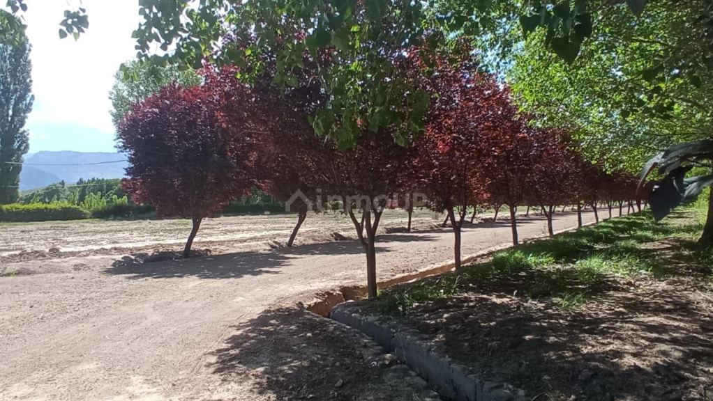 Lote en Venta en Las Heras, Mendoza