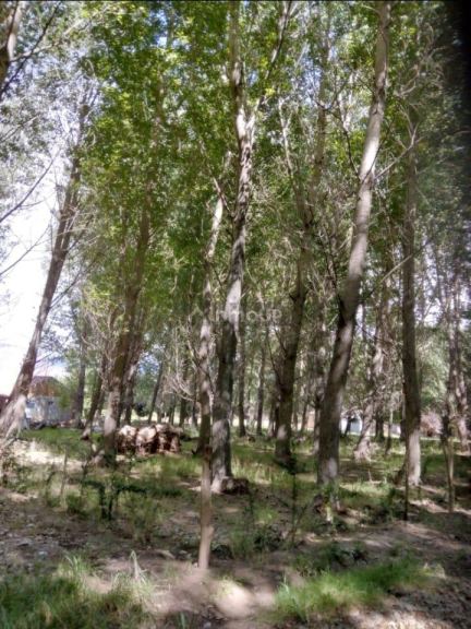 Lote en Venta en Las Heras, Mendoza