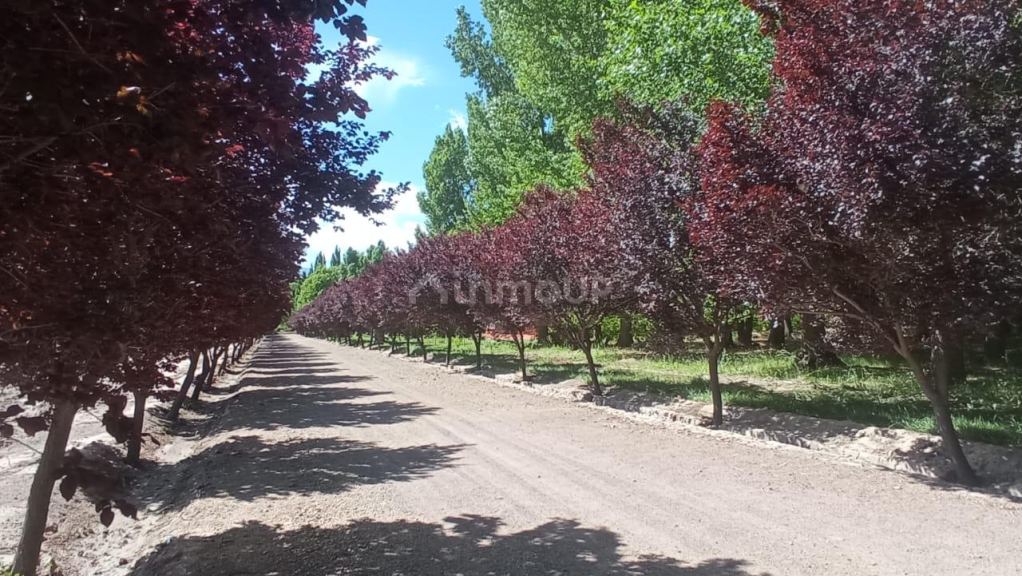 Lote en Venta en Las Heras, Mendoza