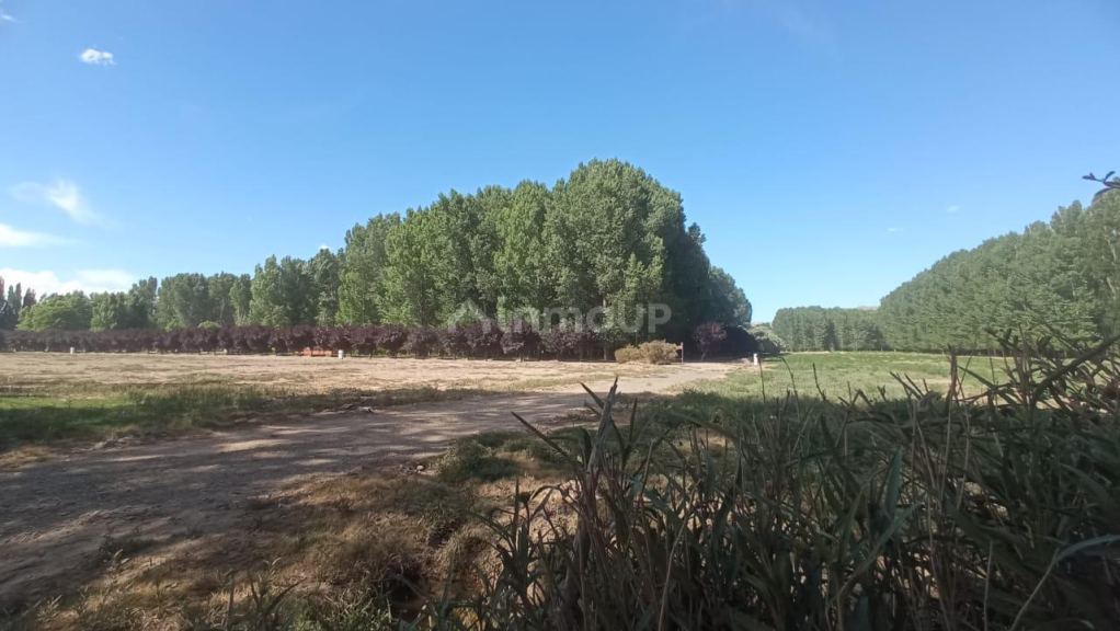 Lote en Venta en Las Heras, Mendoza