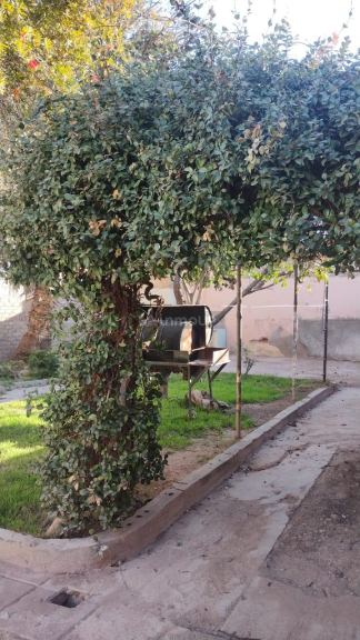 Casa en Alquiler en Godoy Cruz, Mendoza