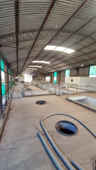 Bodega en Venta en Guaymallen, Mendoza
