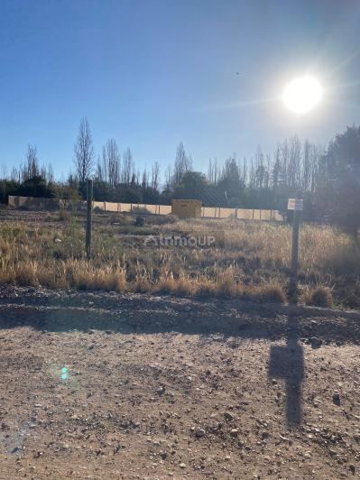 Lote en Venta en Lujan de Cuyo, Mendoza
