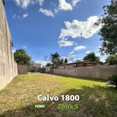 Funes Calvo al 1800